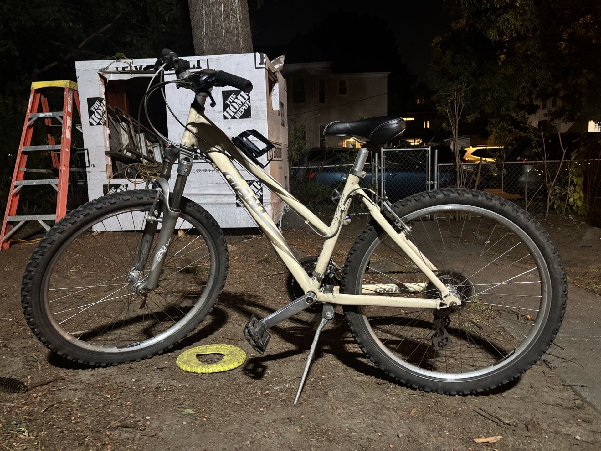 Giant bike