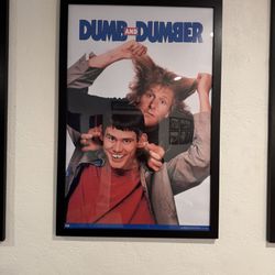 Dumb And Dumber Movie Poster