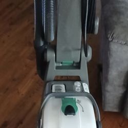 Big Green Cleaning Machine 