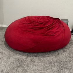 Cozy Bean Bag Never Used 
