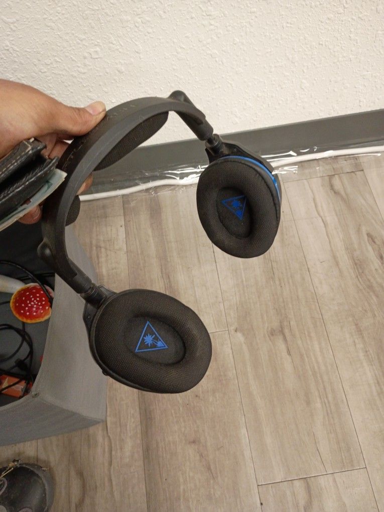Turtle Beach head