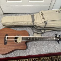 Gold Tone M-Bass Fretless Acoustic Electric Microbass 23" Scale w/Case SELL/TRADE