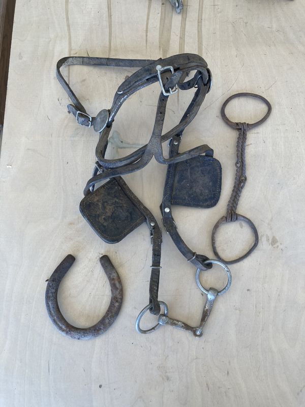 Antique Horse tack for Sale in Mesa, AZ OfferUp