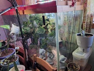 Awesome reptile tank.(85gal). With escape proof lids.