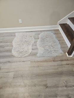 Two Beautiful Shag Mats