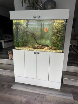 Amazing Saltwater 150 gallon Aquarium/Fish Tank