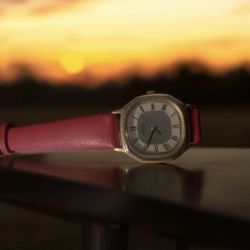 Seiko Women's Gold Tone Watch Roman Numeral Dial Red Leather Band