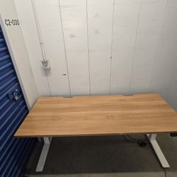 Electric Sit And Stand Ergonomic Desk By Flexispot 