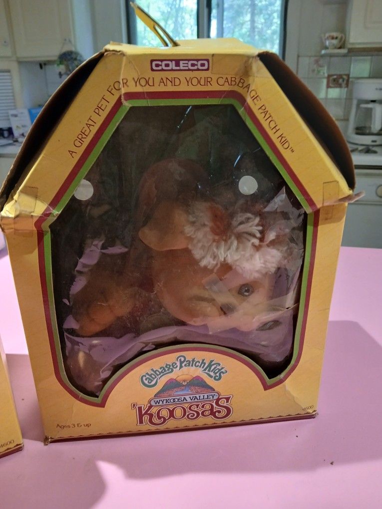 Cabbage Patch Koosas