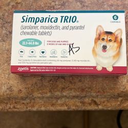 Dog Flea Medication