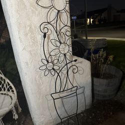 Plant Decor 