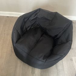 Big Joe Bean Bag Chair