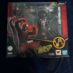 Antman And Ant SH FIGUARTS