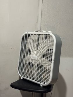 Fan