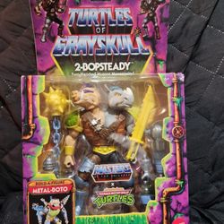 Master Of Grayskull