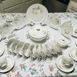 🐦‍🔥Vintage PMR Bavaria Jaeger & Co Germany - 88-Piece Porcelain Set 