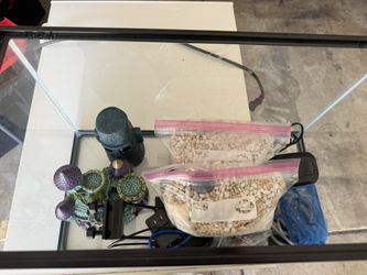 Fish Tank And Accessories
