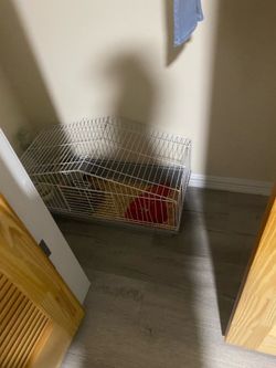 Chinchilla/hamster cage