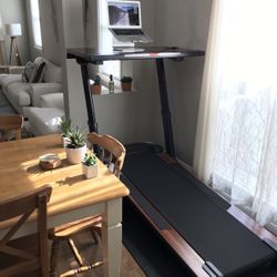 GORGEOUS NordicTrack Treadmill Desk