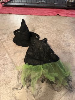 Pet Witch Halloween Costume with Hat