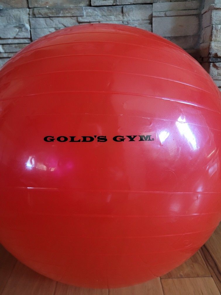Ball: Yoga Ball ( Gold's Gym Yoga Exercise Ball ). 36 Inch.