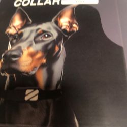 Dog Training Collar