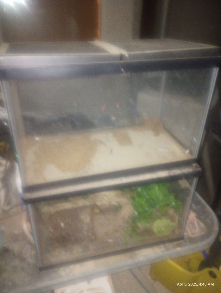 Fish Tank And Two Terrariums