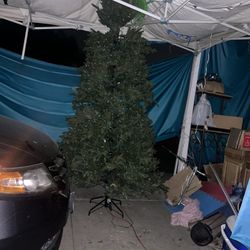 Árbol De 7 1/2  Pies De Alto $65