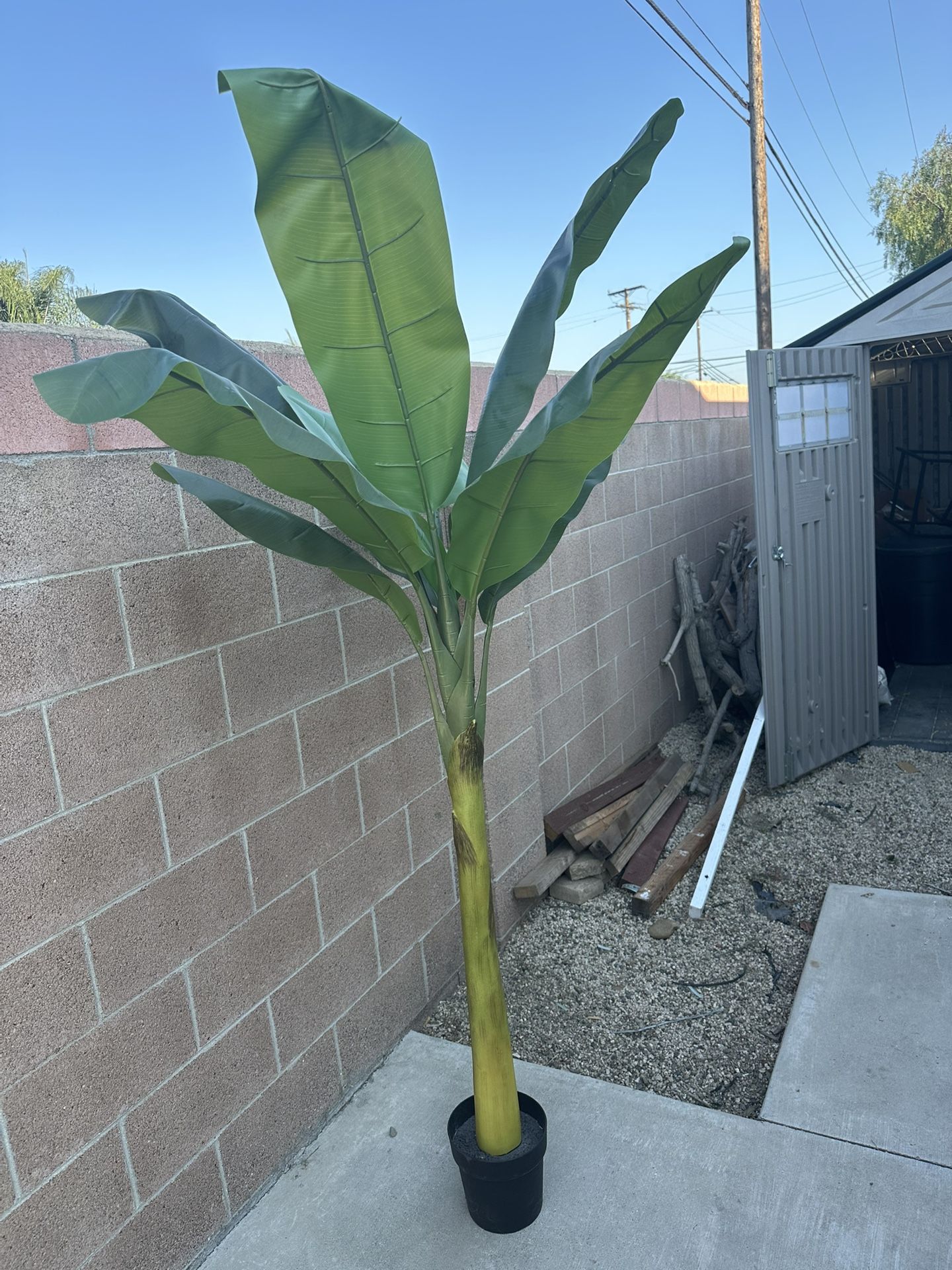 Palm Tree Faux Plant