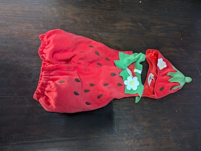 Used 2/4 Toddler Strawberry ๐