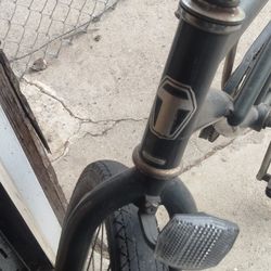 Tesla Beach Cruiser Oh