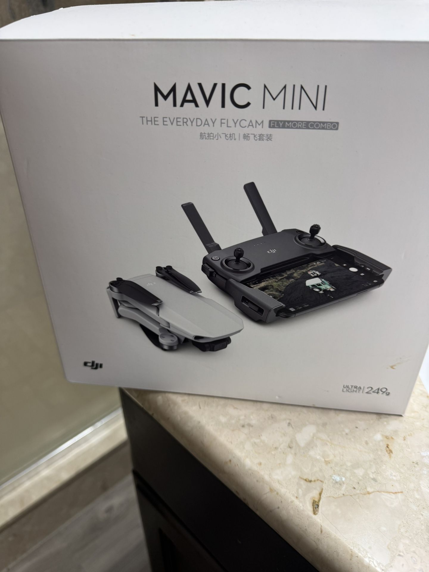 Mavic Mini Everyday Fly Cam