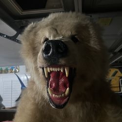 Grizzly Taxidermy stand up 7Ft tall