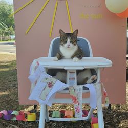 Baby's first birthday sign/backdrop