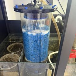 Fish Tank Bashsea Bio Reactor