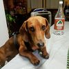 Fernando