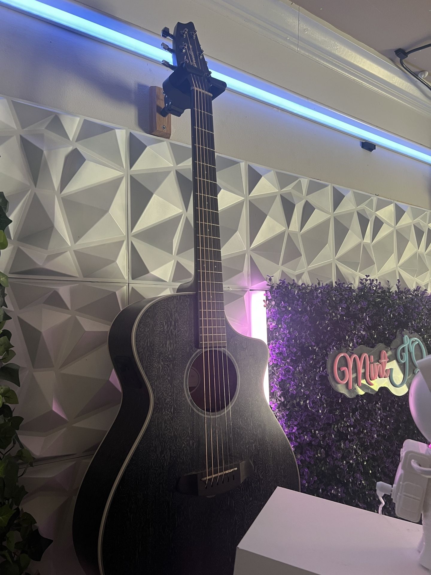 Acoustic Guitar