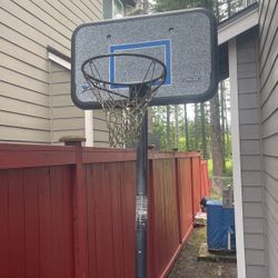 Free Basketball Hoop