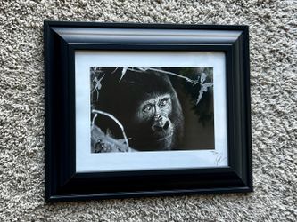 Framed Black & White Photo 14.5 x 12 — Signed/Numbered 116/250
