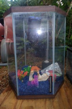 28 Gallon Hexagon Aquarium