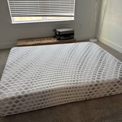 Advanced Back Support Memory Foam - Queen