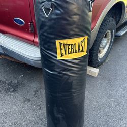 Everlast Punching Bag 