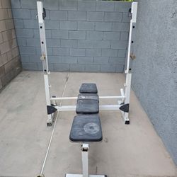 Weight Bench, Bars, Plates
