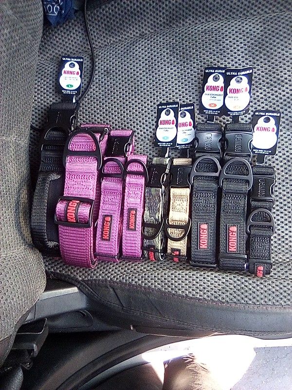 Kong High End Dog Collars