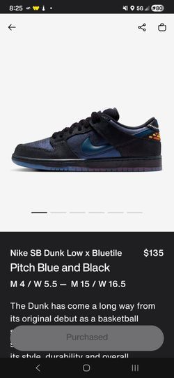 Nike Dunk SB Bluetile size 9.5