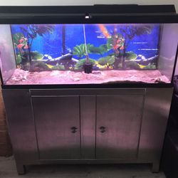 55 gallon tank with metal stand