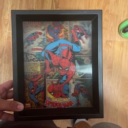 Spider-Man Poster Frame