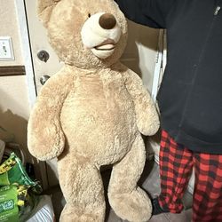 Giant Teddy Bear
