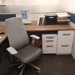 Haworth Fern Ergonomic High End Office Chair 