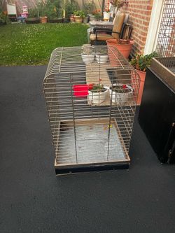 Bird cage